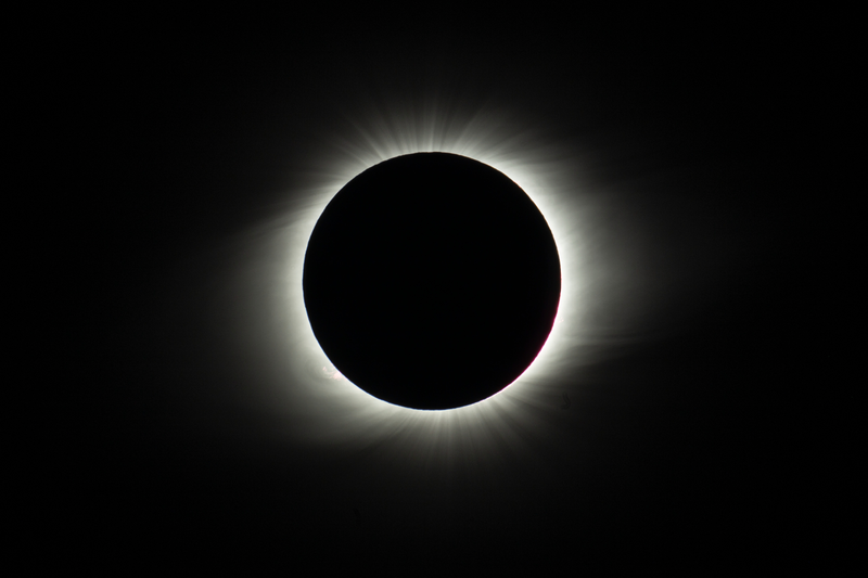 Illustration for article titled The Coolest Images of Yesterday's Solar Eclipse